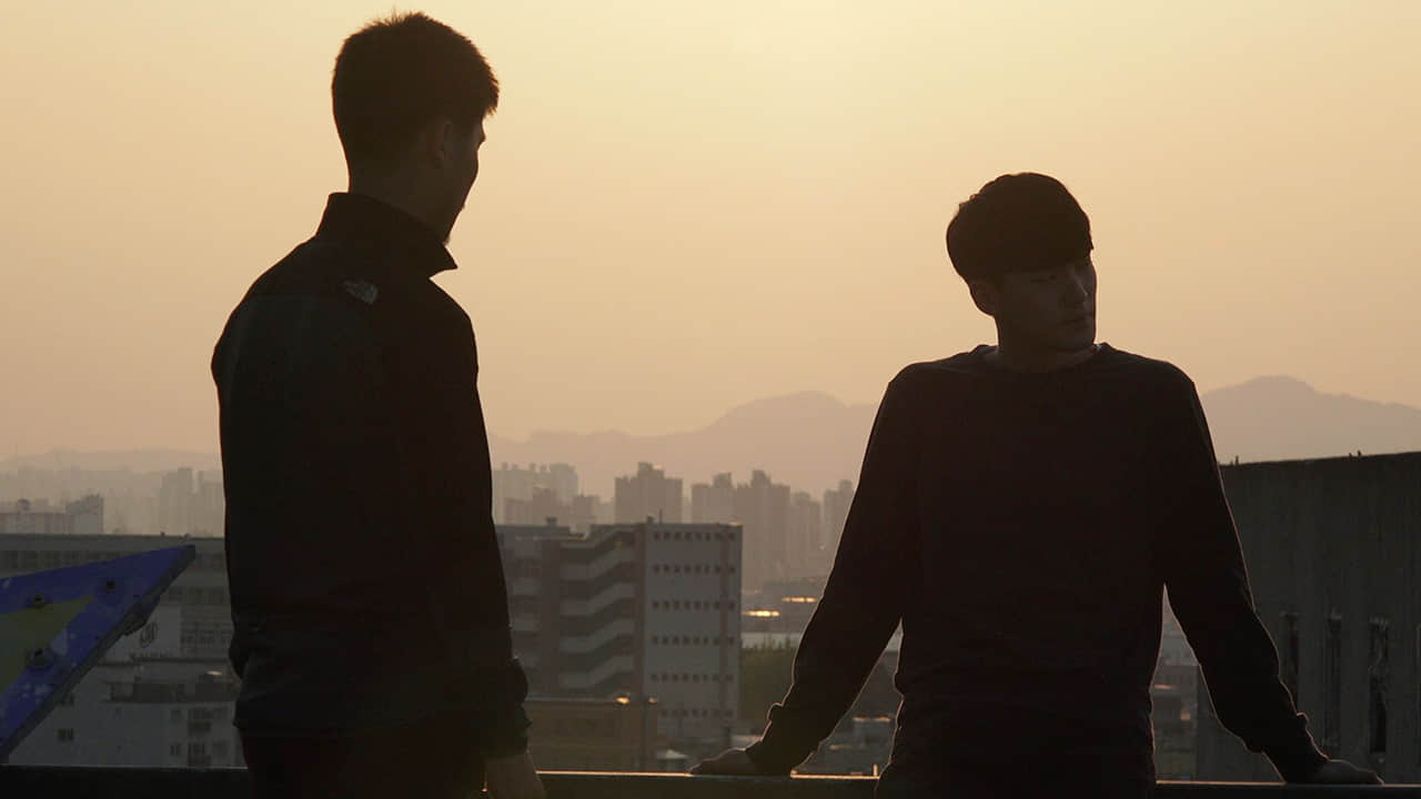 《仲夏夜役男恋》影评:为所爱的人牺牲自己、在所不惜的病态爱情-NICEGAY