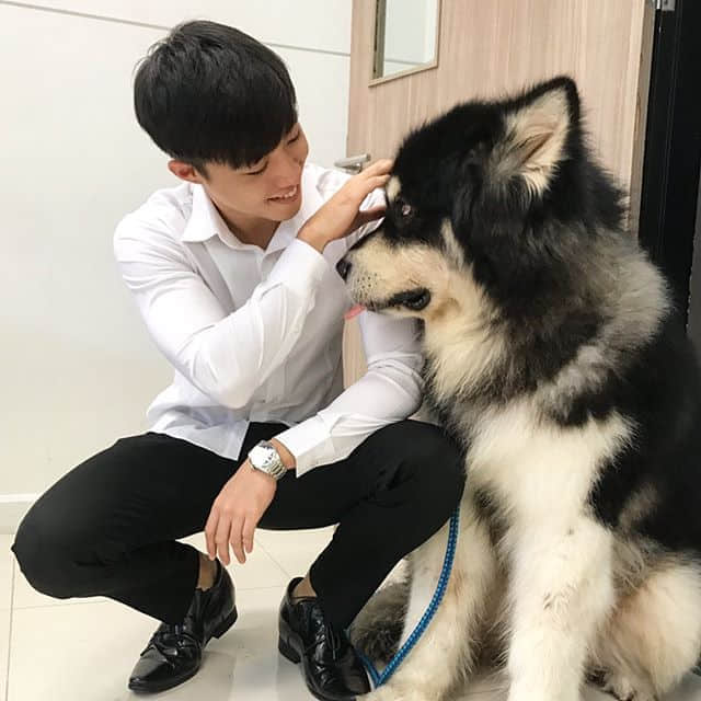 周六尝鲜肉｜新加坡高颜值清秀微笑杀小鲜肉：宗子杰 -2