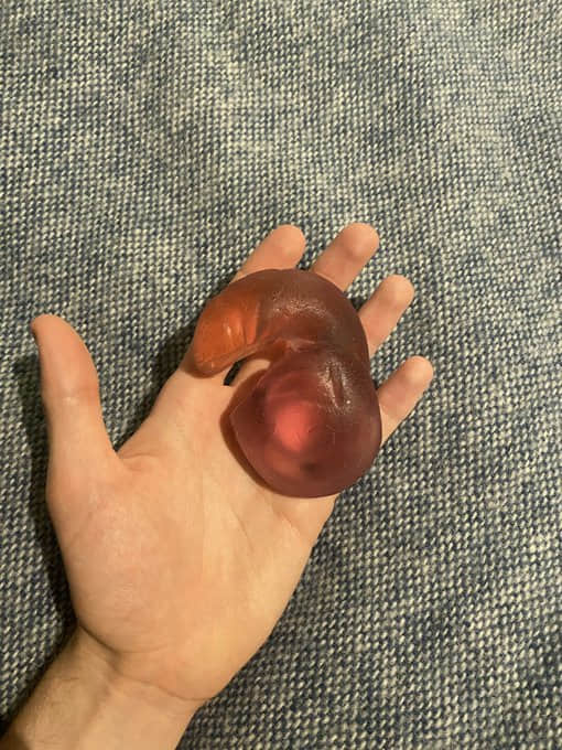 拜託!假屌千万不能这样用!开封前请详阅使用说明 -3 拜託!假屌千万不能这样用!开封前请详阅使用说明-NICEGAY