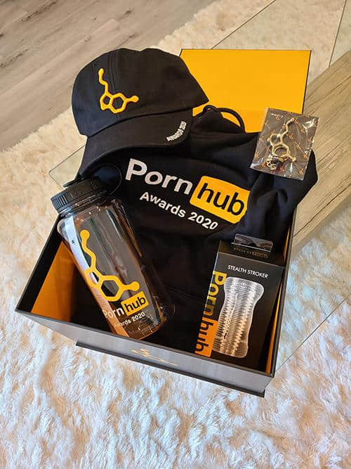 2020情色奥斯卡来了!Pornhub宣布入围名单,美东时间12/15晚上7点线上颁奖 -3 2020情色奥斯卡来了!Pornhub宣布入围名单,美东时间12/15晚上7点线上颁奖-NICEGAY
