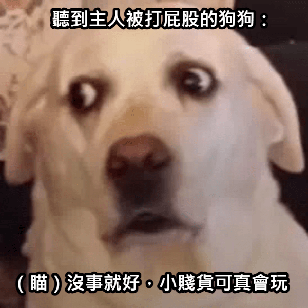 網自曝爆笑性經驗! 住宿玩嗨狂叫床 引燃隔壁房客慾火:「加一?」-NICEGAY
