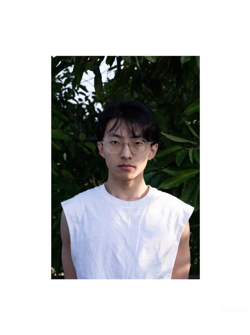 Sanneko Collection Alphee I-NICEGAY