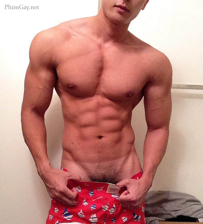 CHAN THAN SAN COLLECTION P1-NICEGAY