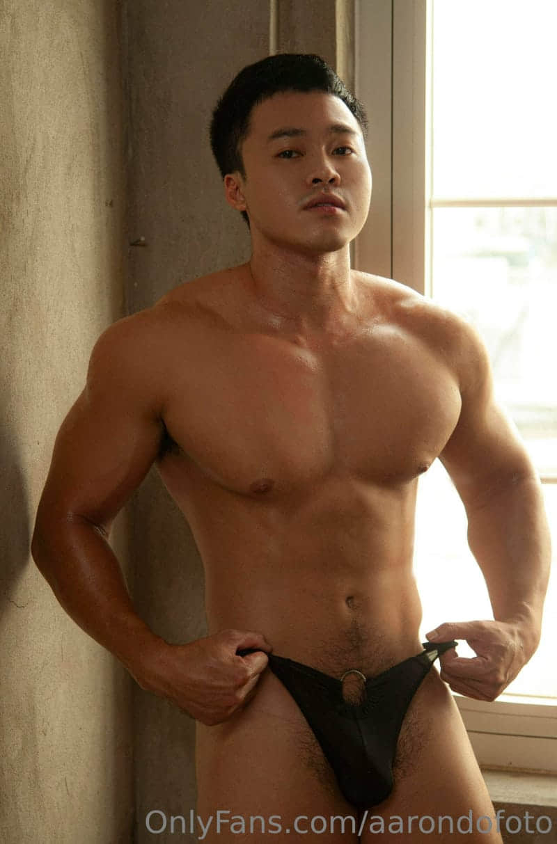 AARONDOFOTO COLLECTION P1 123MEN VOL.8-NICEGAY