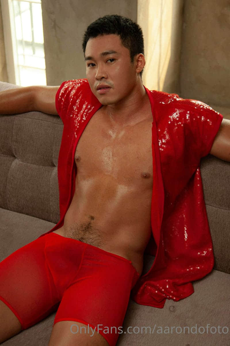 AARONDOFOTO COLLECTION P1 123MEN VOL.8-NICEGAY