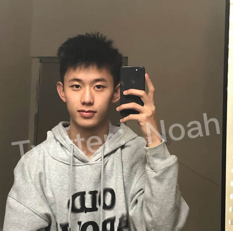 NOAH collection-NICEGAY
