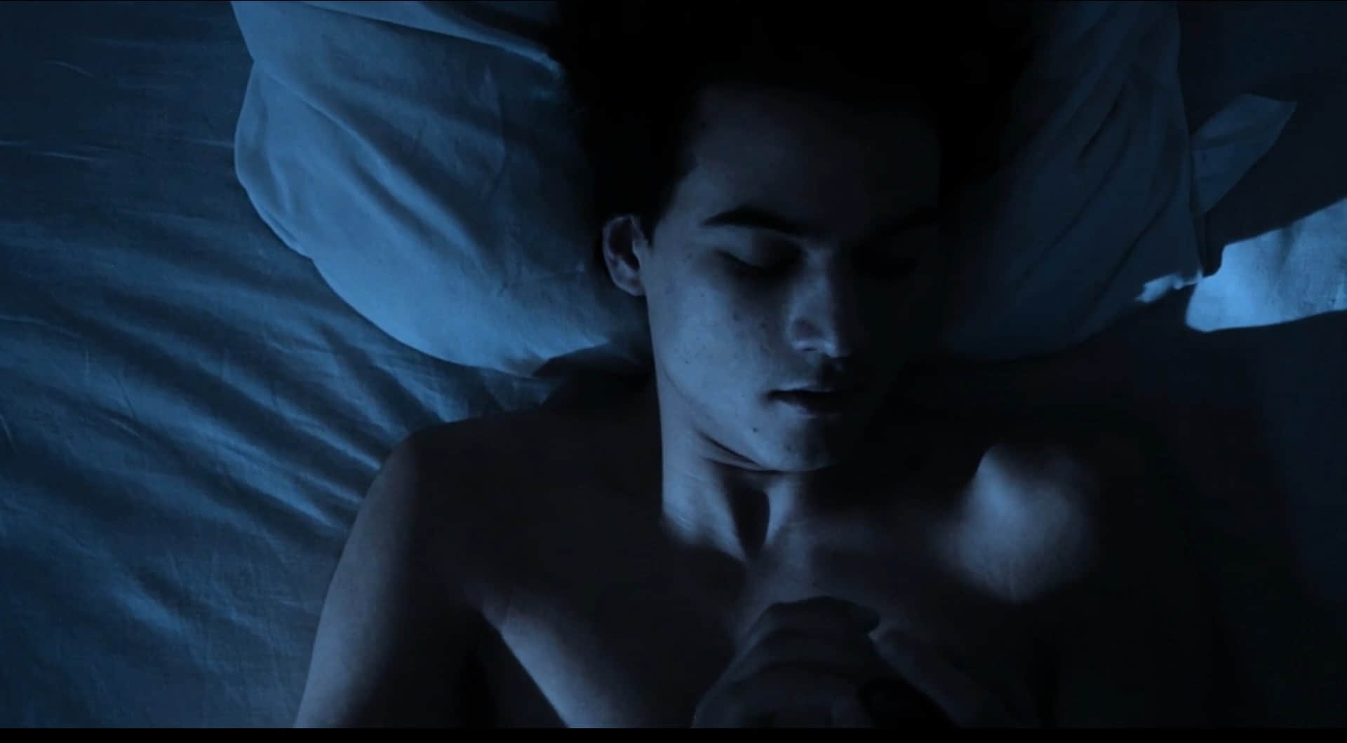 他人气味 Le goût de l'autre (2014)-NICEGAY