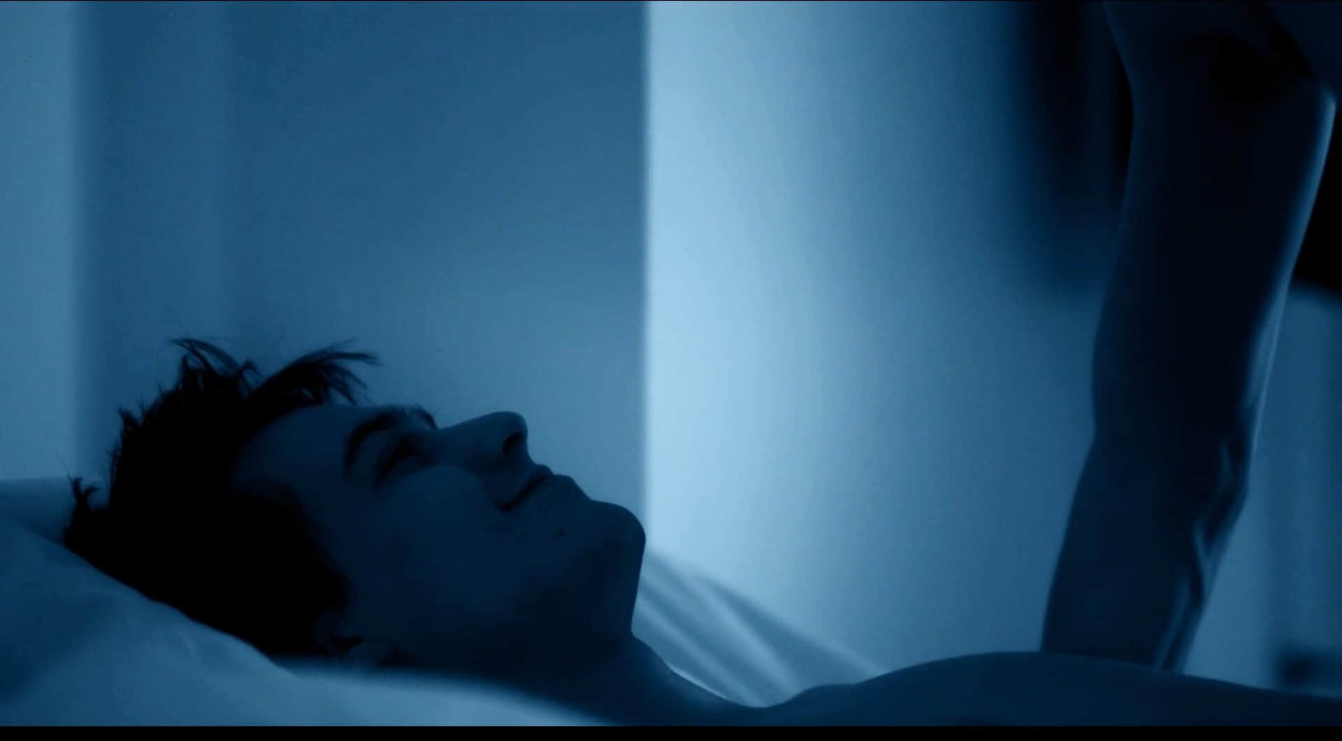 他人气味 Le goût de l'autre (2014)-NICEGAY