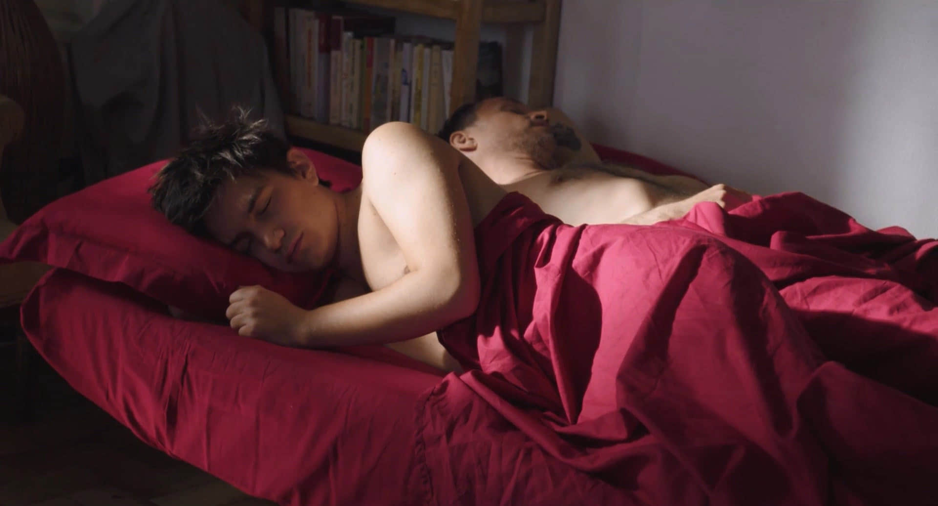 险情一夜 Les équilibristes (2017)-NICEGAY