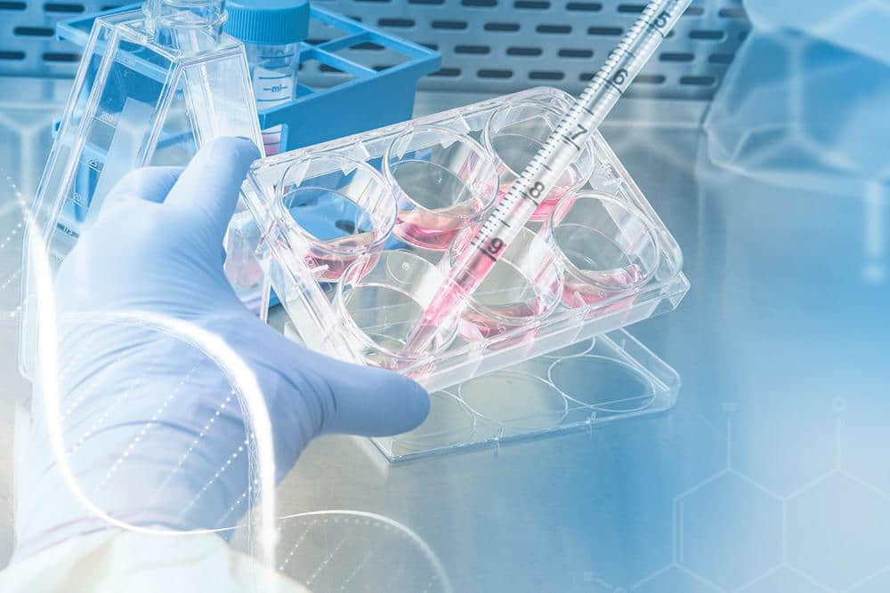全球第 6 位 HIV 患者幾近痊癒! 科學家驚:「至今已逾一年半未復發。」-NICEGAY