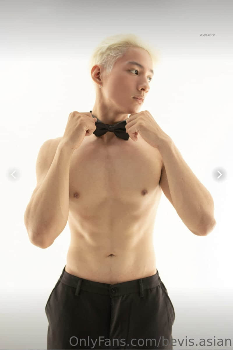 BEVIS.ASIAN COLLECTION P2 HOT BOY Tran-NICEGAY