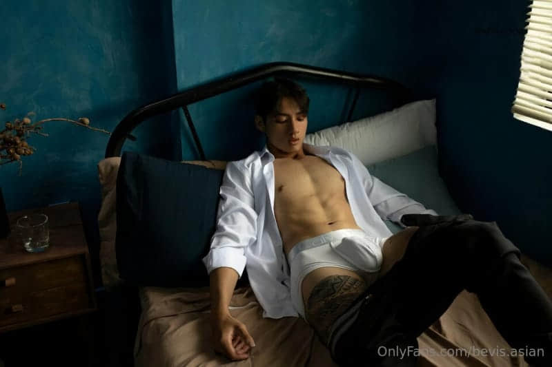 BEVIS.ASIAN COLLECTION P2 HOT BOY Tran-NICEGAY