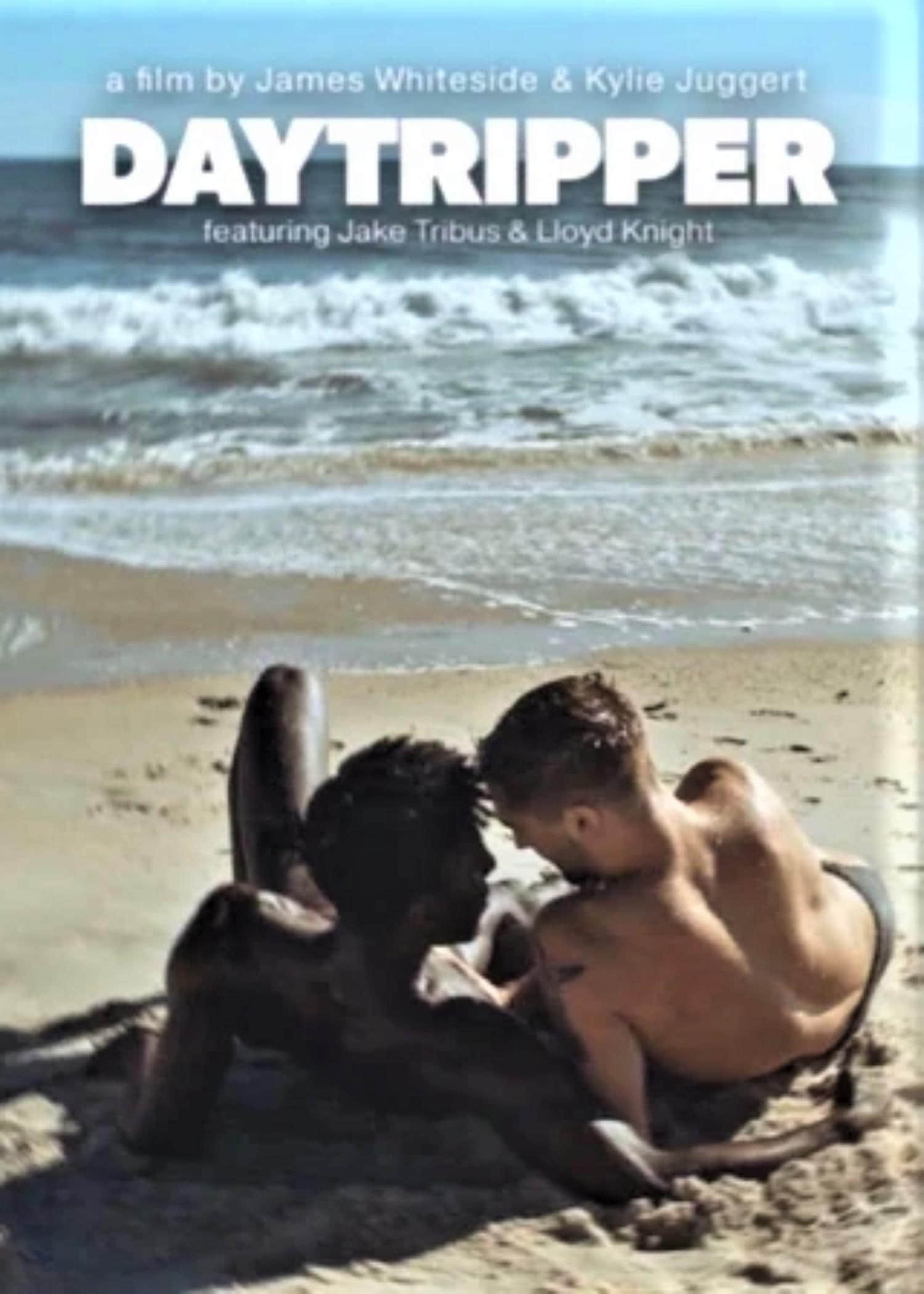 一日游客 Daytripper (2023)-NICEGAY