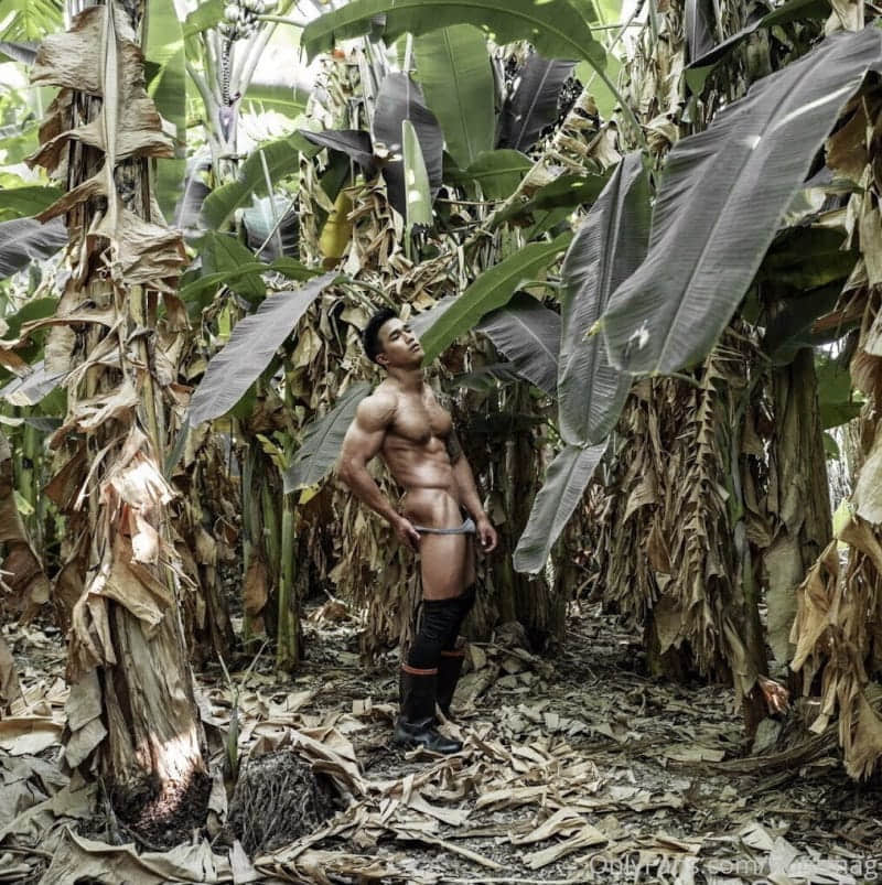 Hunt mag – The Farmer 02 – Earth Woraphong-NICEGAY