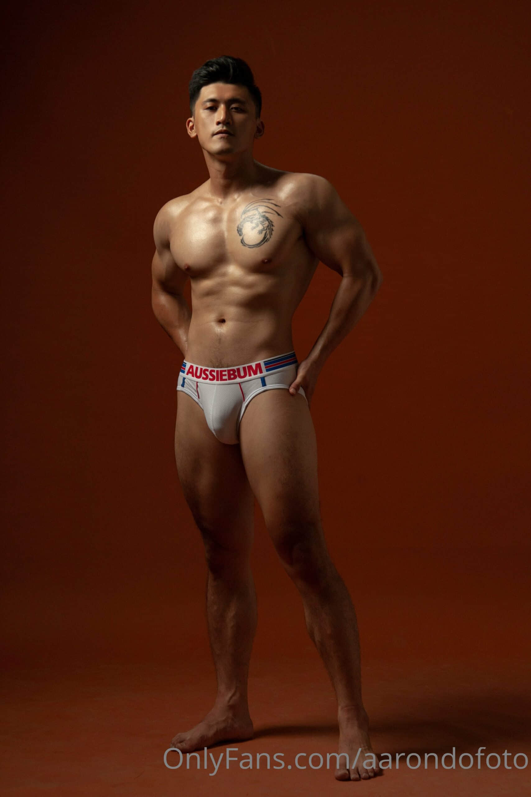 AARONDOFOTO ONLYFANS COLLECTION P21 LONG TRAN HENRY TRIEU-NICEGAY
