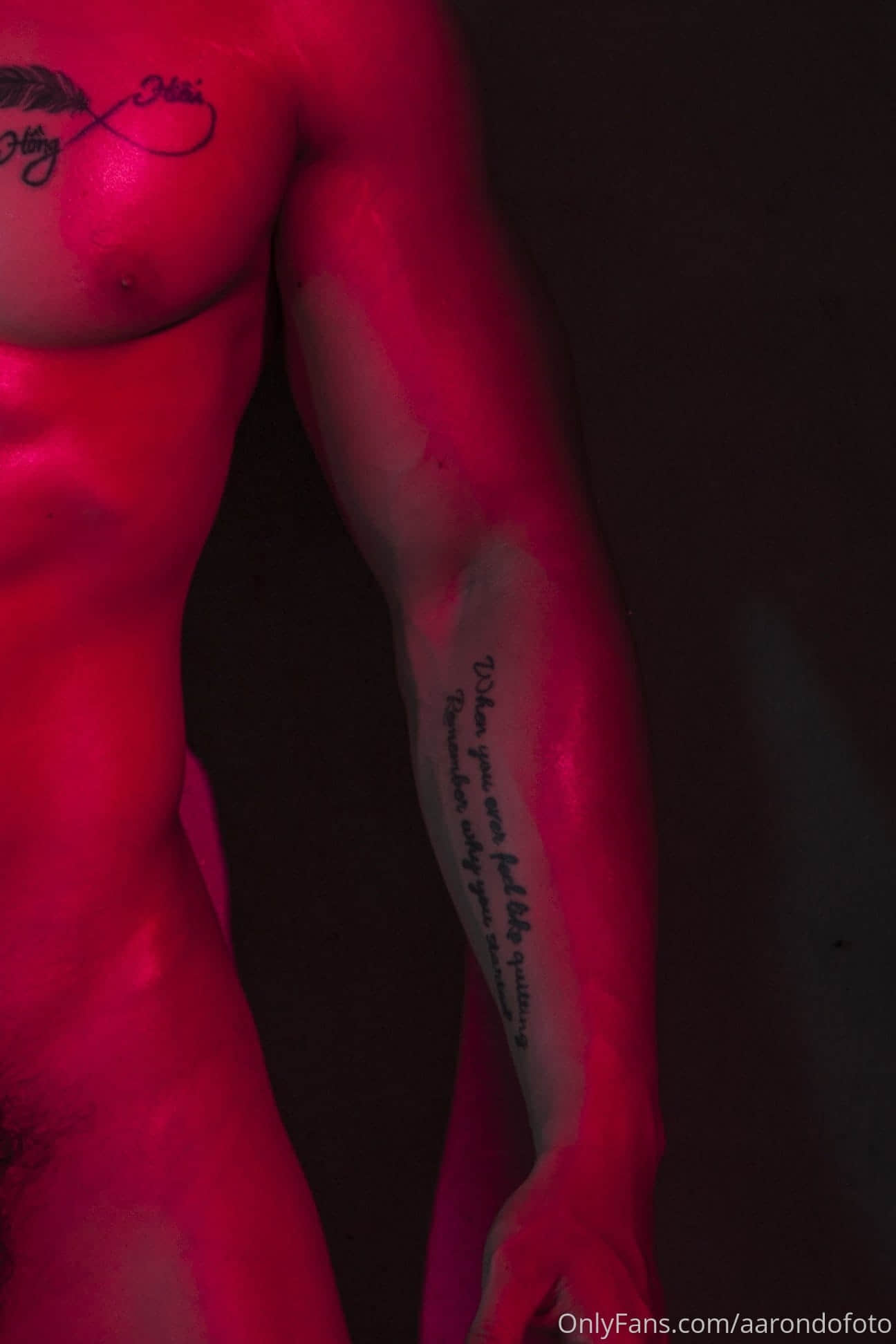 AARONDOFOTO ONLYFANS COLLECTION P22 HIU NGUYEN-NICEGAY