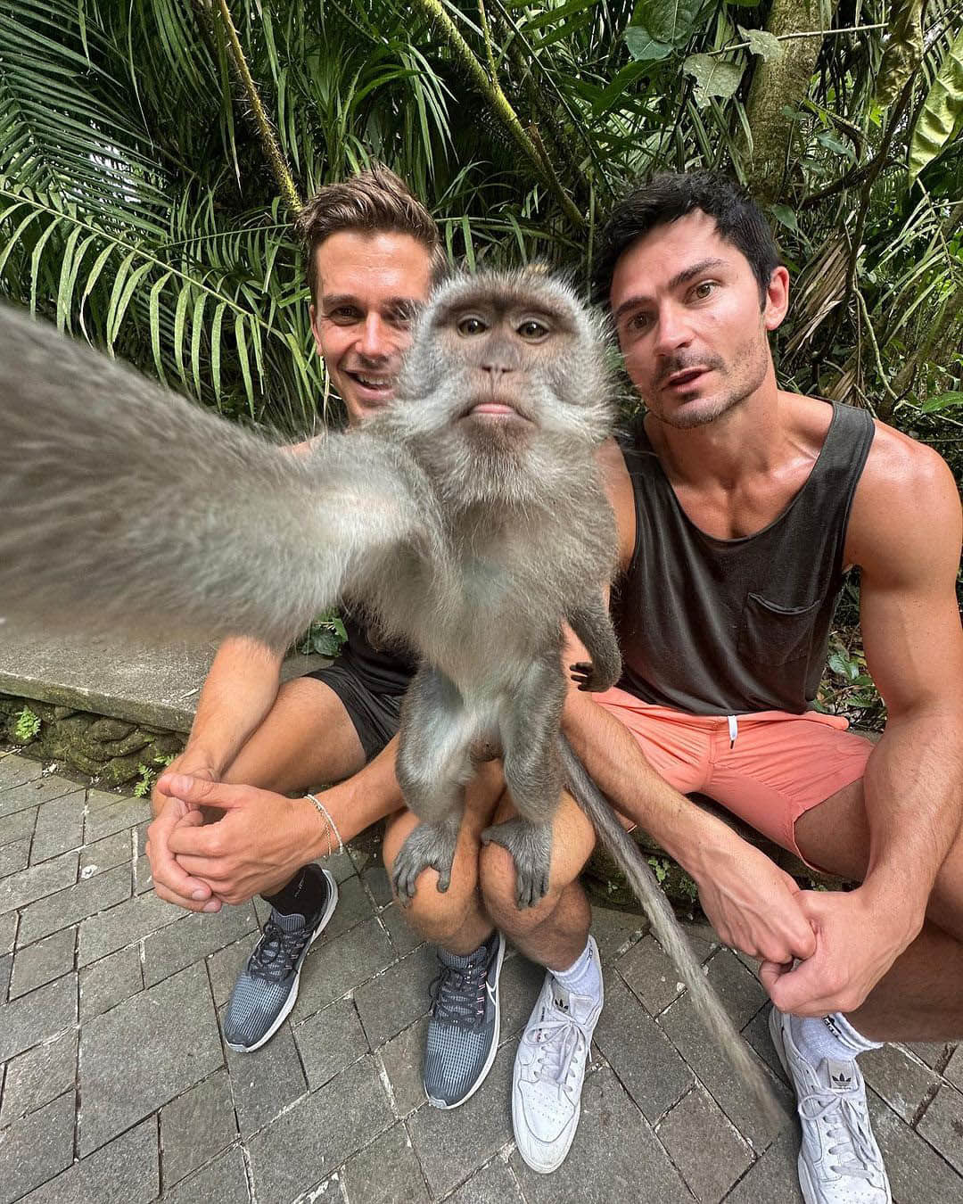 《酷男的異想世界》Antoni Porowski 取消訂婚 回應:和平分手-NICEGAY