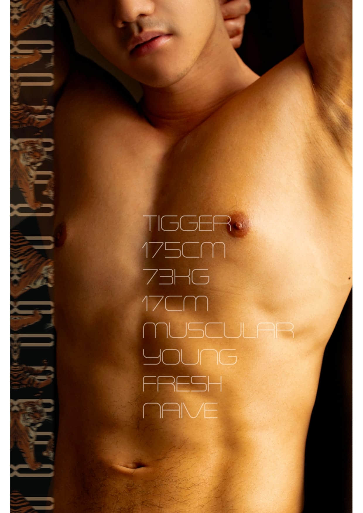 ZERO LIVE VOL.3 – SEDUCTIVE TIGGER PAUL-NICEGAY