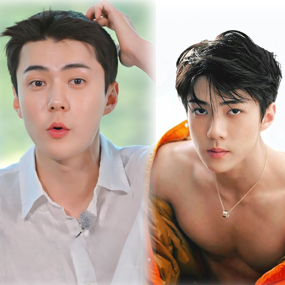 隊友伯賢認證:「他真的很雄偉!」 韓國天團 EXO 吳世勳的「大包」合輯!-NICEGAY