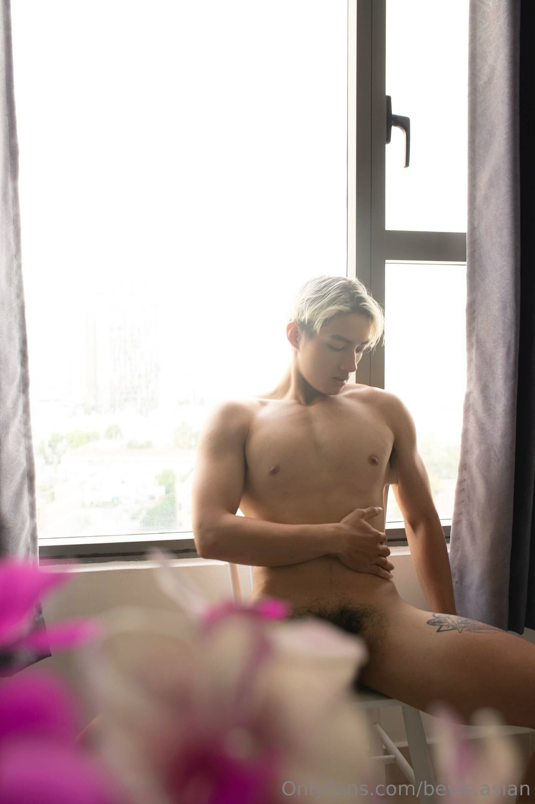 Bevis.asian collection P7 – Trần Đức Vương-NICEGAY