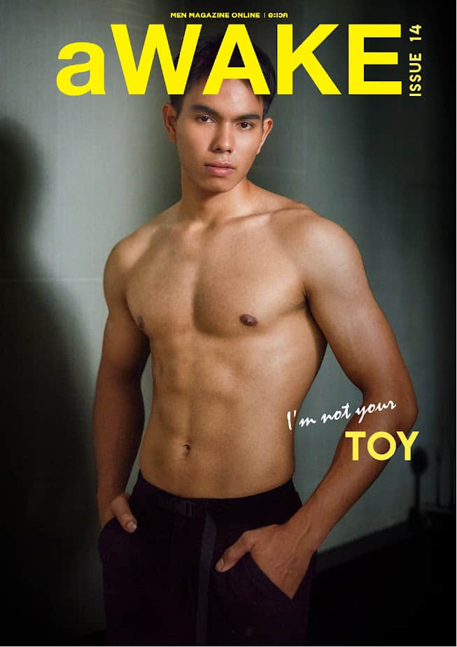 aWAKE Magazine Issue 14 – TOY-NICEGAY