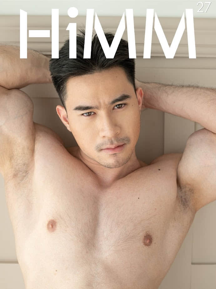 HiMM 27 – PP-NICEGAY