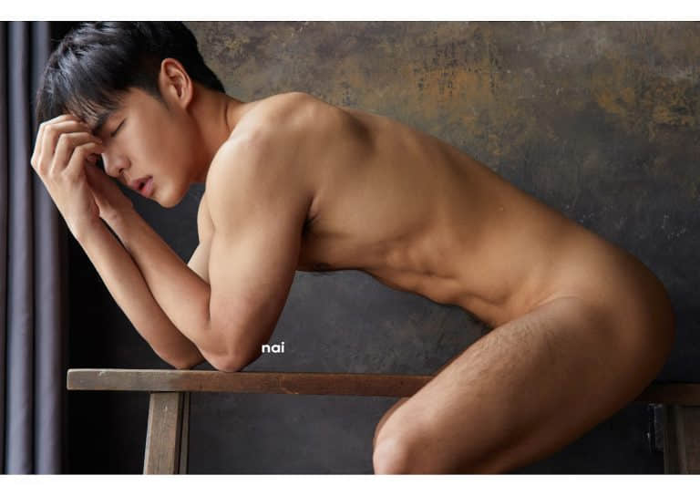 NAI Photobook Magazine issue13 – NOIR-NICEGAY