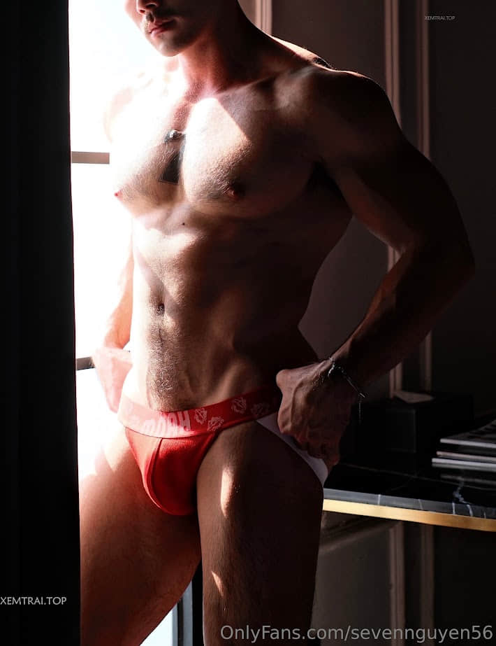 Nguyễn Duy Hải collection P5-NICEGAY